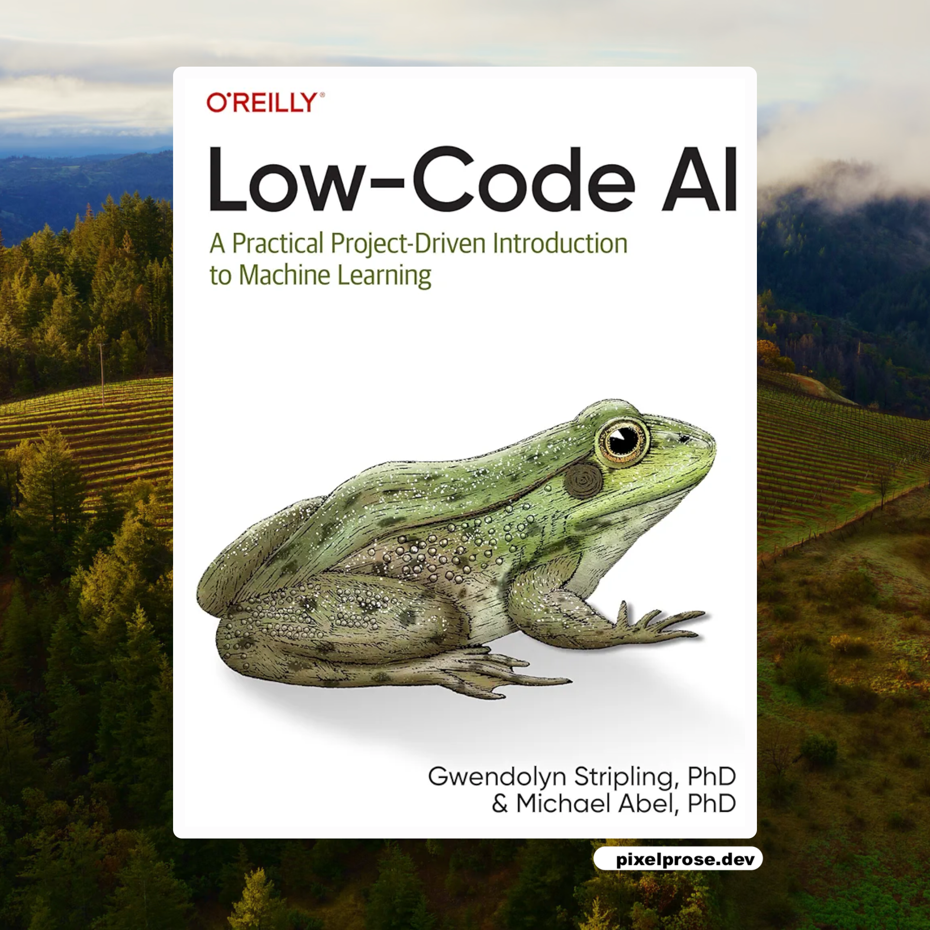 Low Code Ai