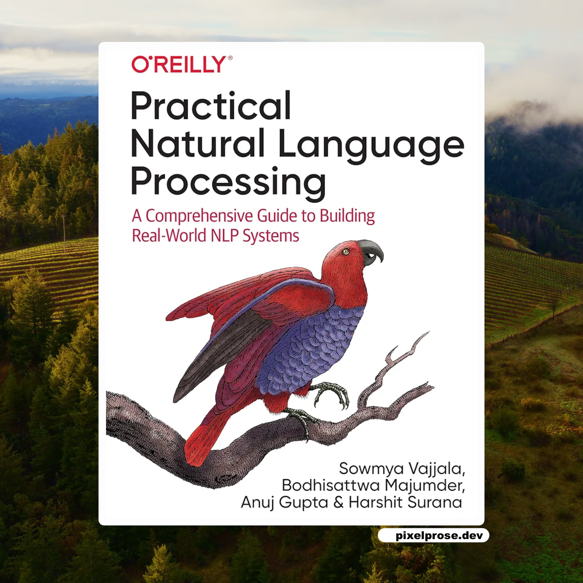 Practical Natural Language Processing